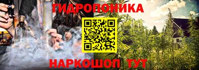 гашик Краснодар