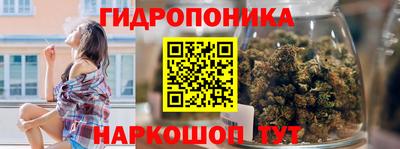 гашик Краснодар