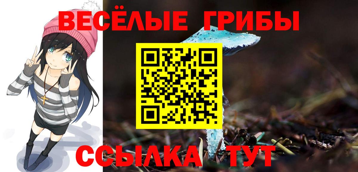 Галлюциногенные грибы ЛСД Каменка