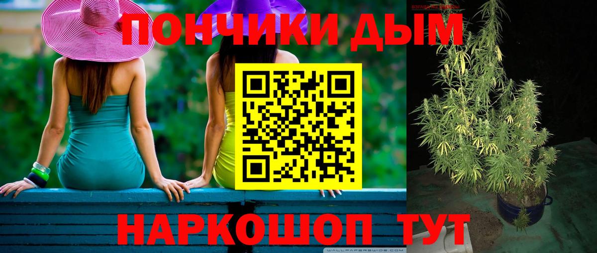 Шишки марихуана Bruce Banner  Каннабис гибрид  Каменка  Марихуана SATIVA & INDICA  Вход с VPN 